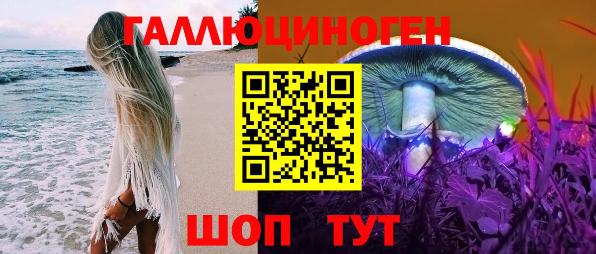 Лосино-Петровский  Галлюциногенные грибы Psilocybine cubensis  Вход с VPN 