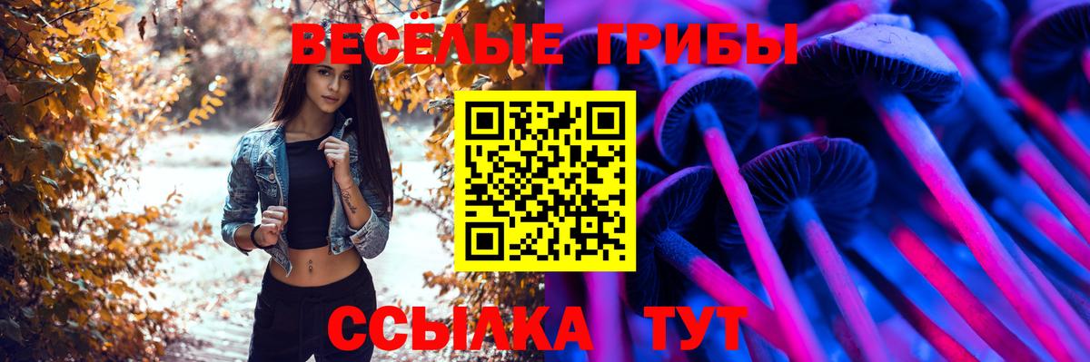 Псилоцибиновые грибы Cubensis Лосино-Петровский